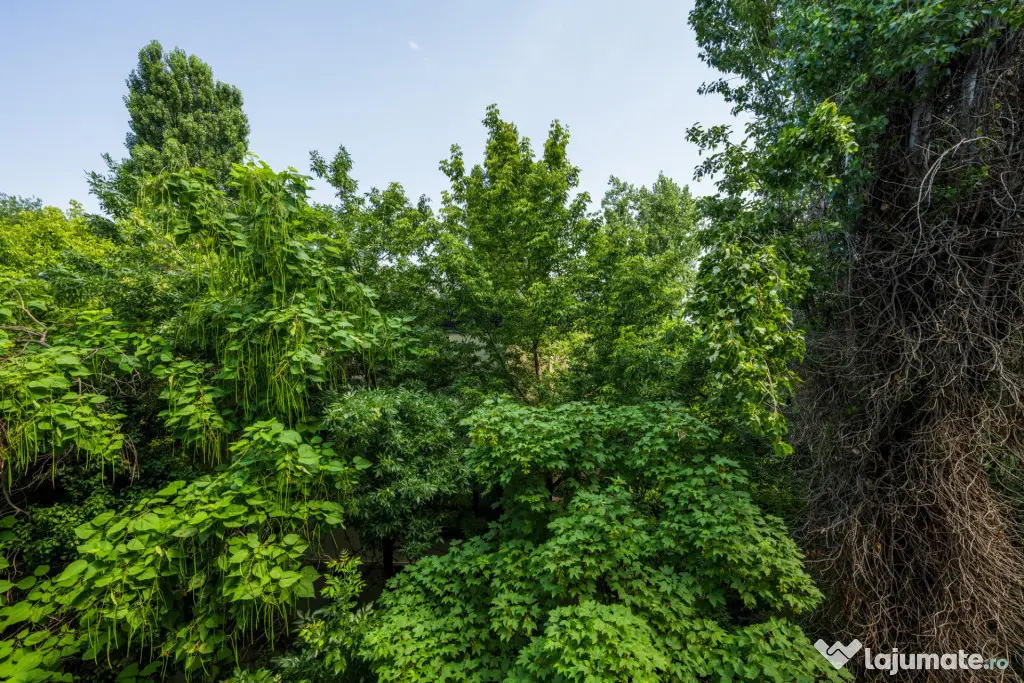 Apartament 2 camere Brancoveanu, Spitalul Marie Curie, decom
