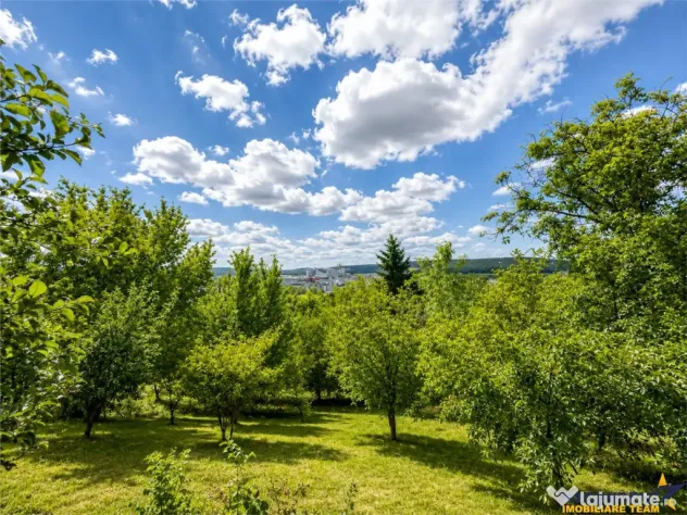 Proprietate deosebita, pe domeniu de 2.300 mp, panorama, Sub