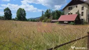 Teren 1000 mp cu view superb in Busteni