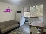 Apartament de inchiriat pe b-dul Dacia 