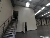Hale de 500mp si 600mp in zona Progresul, Jilava 