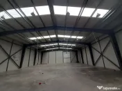 Hale de 500mp si 600mp in zona Progresul, Jilava