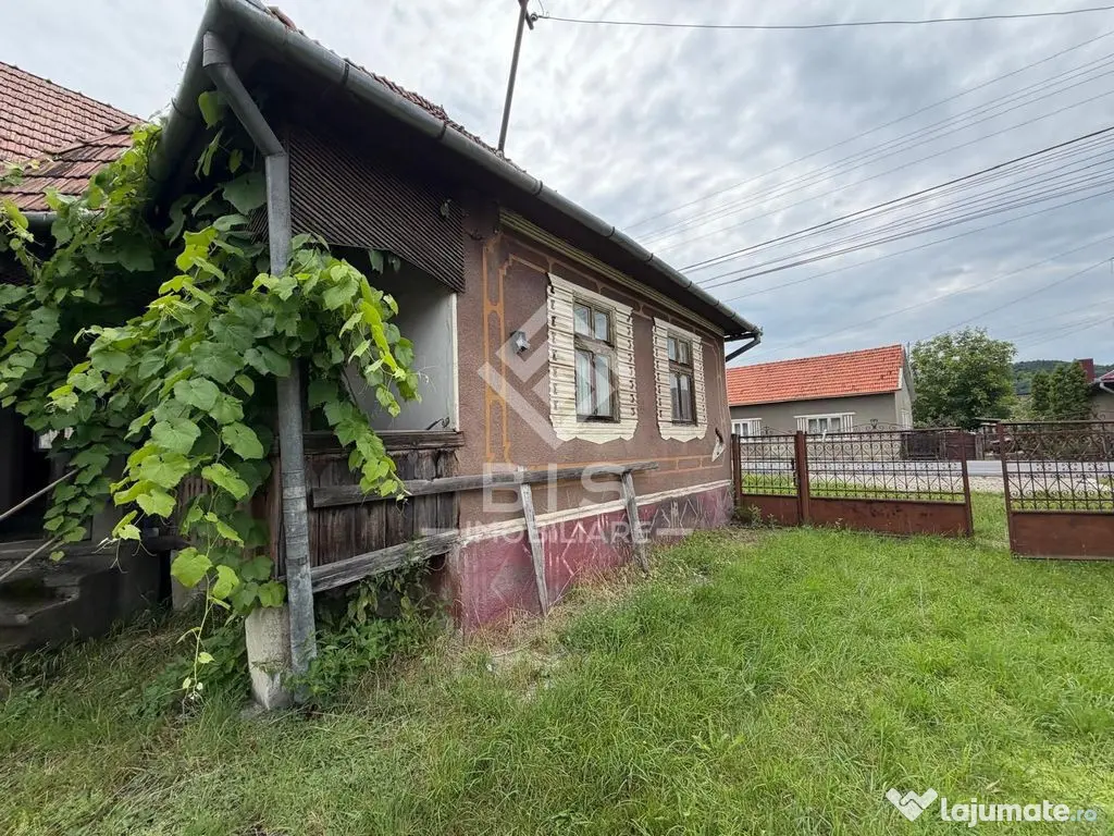 Casa de vanzare cu teren 20 ari - Rusu Bargaului