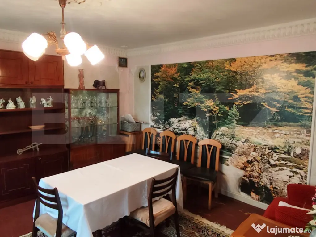 Casa 120 mp utili, 2850 mp teren, zona Bucium