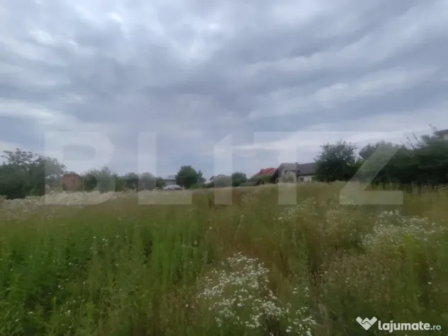 Casa 120 mp utili, 2850 mp teren, zona Bucium