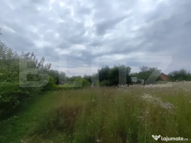 Casa 120 mp utili, 2850 mp teren, zona Bucium