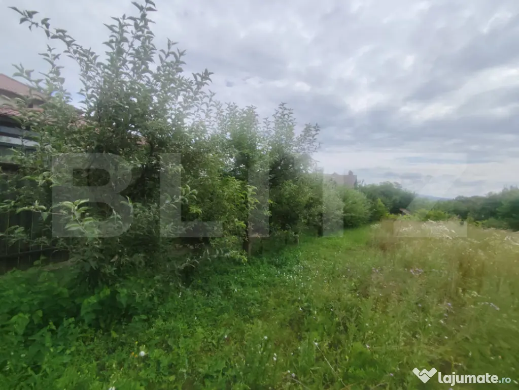 Casa 120 mp utili, 2850 mp teren, zona Bucium