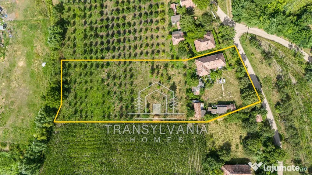 Casă tradițională cu teren de 2.560mp, în Sâmboleni, com. Cămărașu
