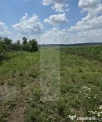 Teren intravilan, 1477mp , Loc. Balusenii Noi - Botoșani
