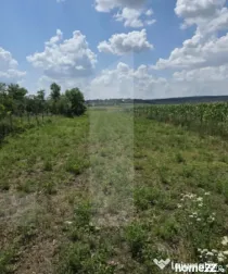 Teren intravilan, 1477mp , Loc. Balusenii Noi - Botoșani