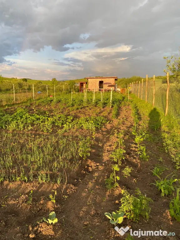 Teren extravilan de vânzare