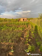Teren extravilan de vânzare