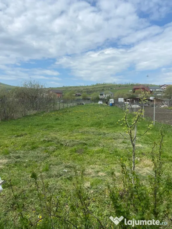 Teren extravilan de vânzare