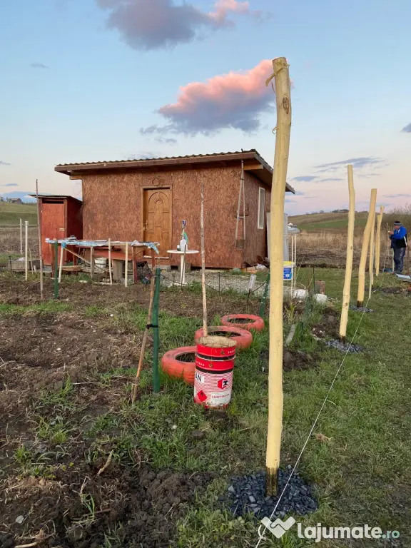 Teren extravilan de vânzare