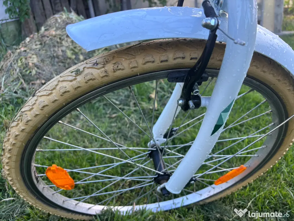 Bicicleta femei / copii