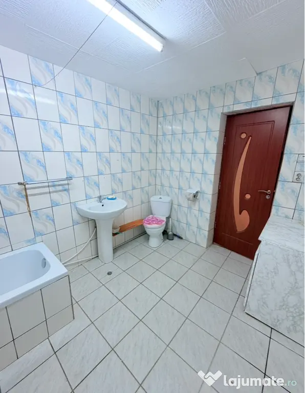 Vand casa in Paleu,Jud Bihor!3cam.,living,garaj.Teren 711mp