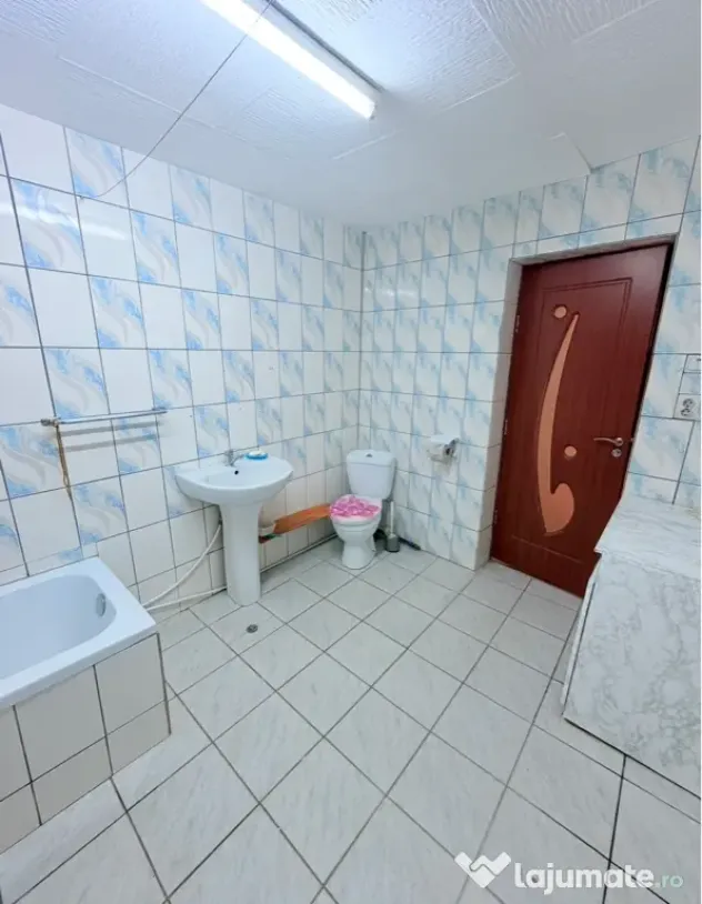 Vand casa in Paleu,Jud Bihor!3cam.,living,garaj.Teren 711mp
