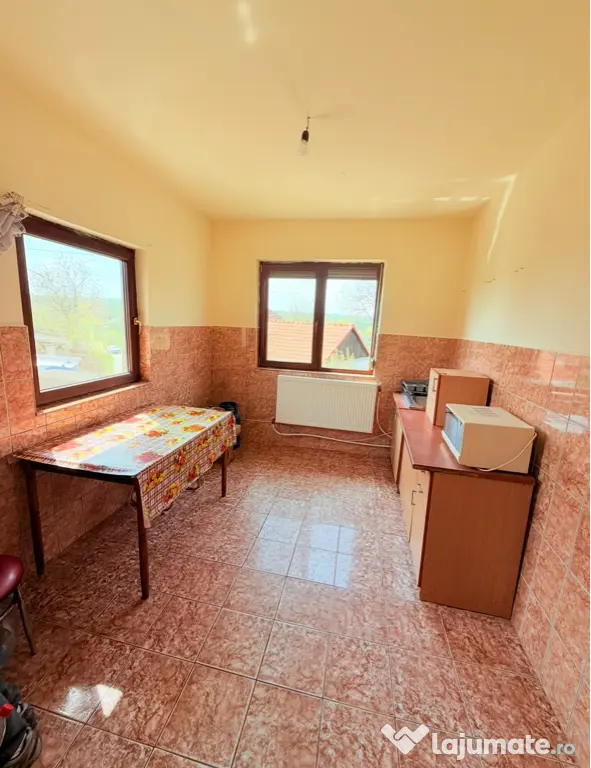 Vand casa in Paleu,Jud Bihor!3cam.,living,garaj.Teren 711mp