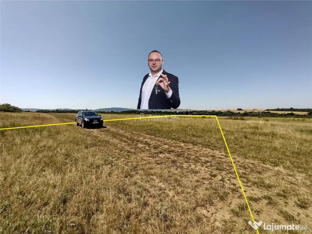 Nicolint, 2 Terenuri Extravilane, Arabil, 1.45 Hectare