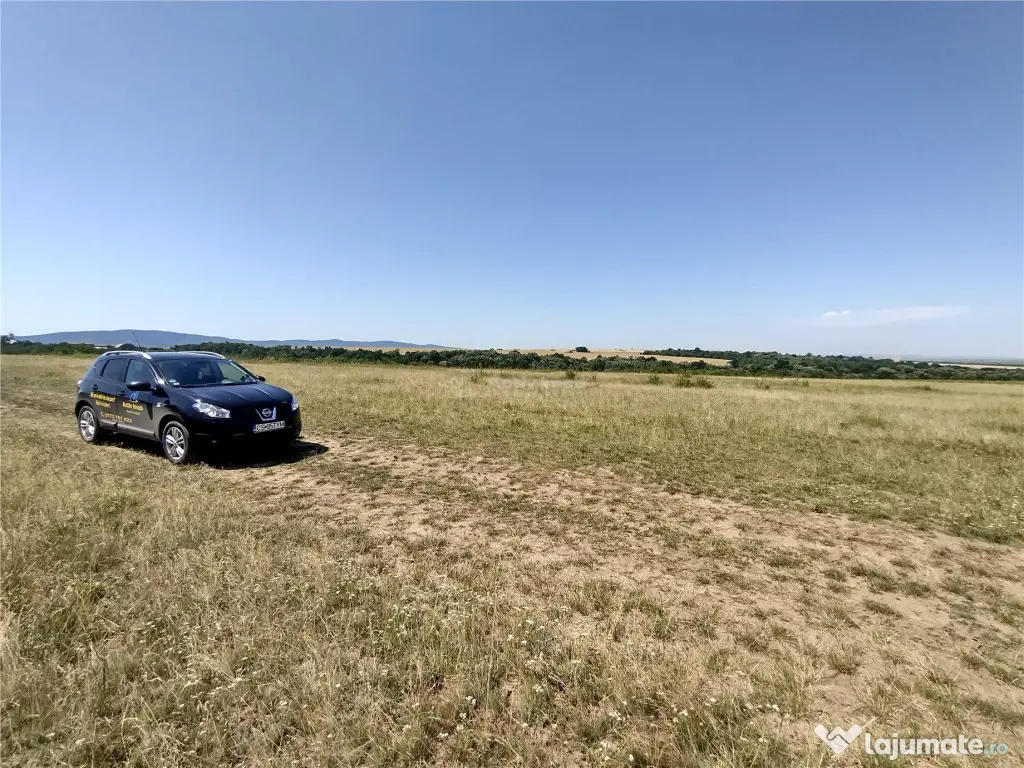 Nicolint, 2 Terenuri Extravilane, Arabil, 1.45 Hectare