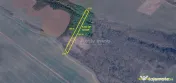 Nicolint, 2 Terenuri Extravilane, Arabil, 1.45 Hectare 