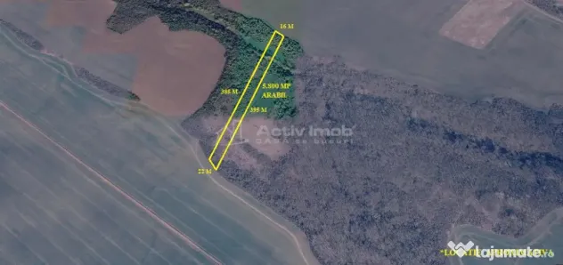 Nicolint, 2 Terenuri Extravilane, Arabil, 1.45 Hectare