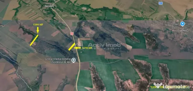 Nicolint, 2 Terenuri Extravilane, Arabil, 1.45 Hectare