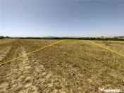 Nicolint, 2 Terenuri Extravilane, Arabil, 1.45 Hectare 