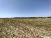 Nicolint, 2 Terenuri Extravilane, Arabil, 1.45 Hectare 