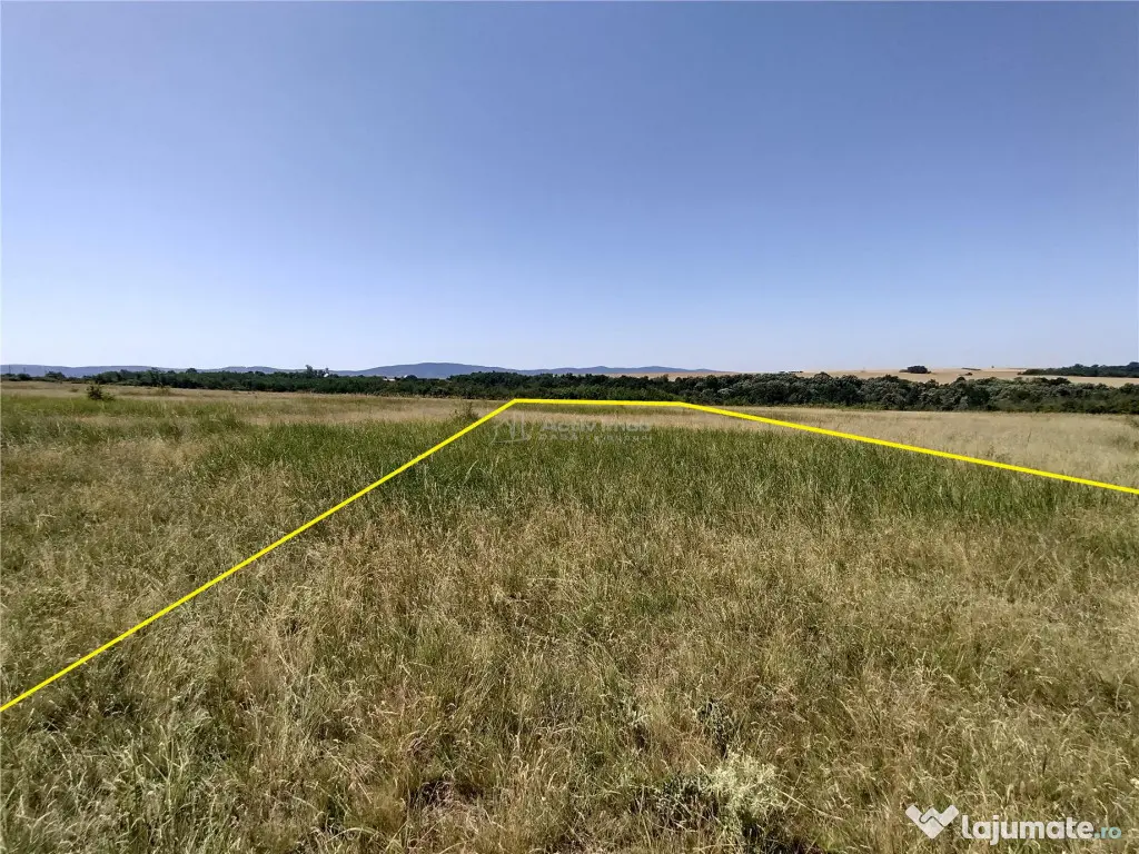 Nicolint, 2 Terenuri Extravilane, Arabil, 1.45 Hectare