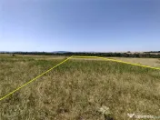 Nicolint, 2 Terenuri Extravilane, Arabil, 1.45 Hectare 