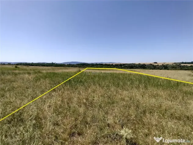 Nicolint, 2 Terenuri Extravilane, Arabil, 1.45 Hectare