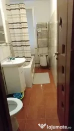 Brancoveanu luica izvorul oltului