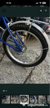 Bicicleta Borg 