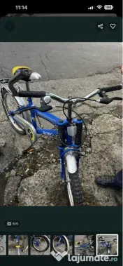 Bicicleta Borg 