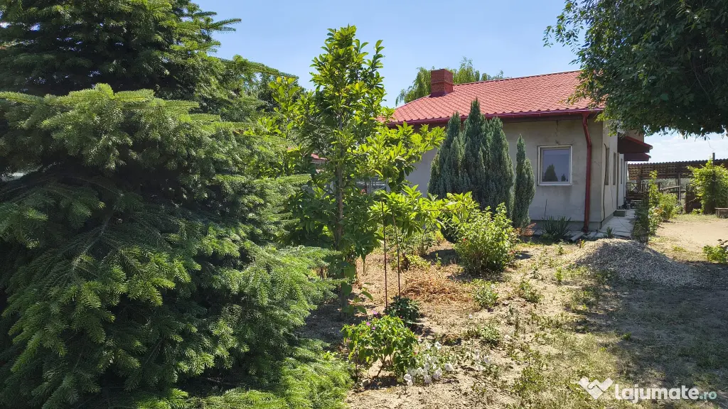 Casa vanzare Jilava