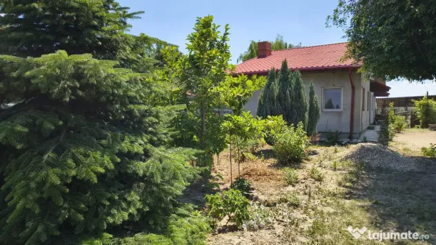 Casa vanzare Jilava