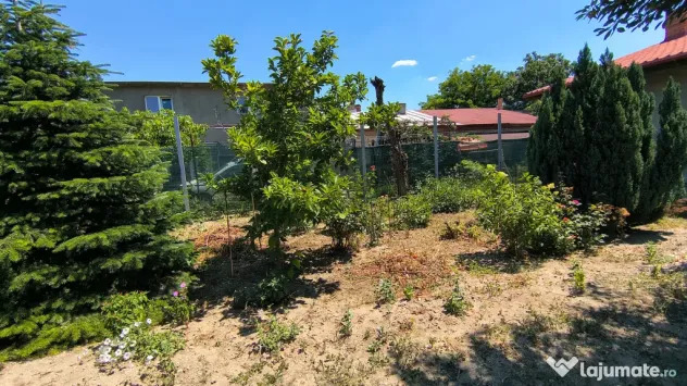 Casa vanzare Jilava