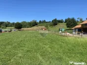 Teren 1,308mp Vama Buzaului / Strada Principala 
