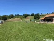 Teren 1,308mp Vama Buzaului / Strada Principala 