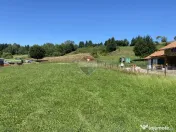 Teren 1,308mp Vama Buzaului / Strada Principala 