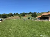 Teren 1,308mp Vama Buzaului / Strada Principala 