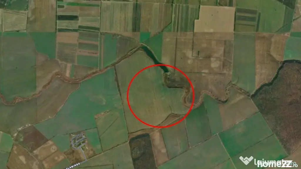 Investitie - Teren extravilan 3 ha langa Padurea Oracu - Balotesti (Bucuresti-Ilfov)