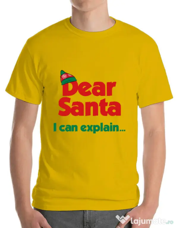 Tricou ADLER barbat I can explain Galben