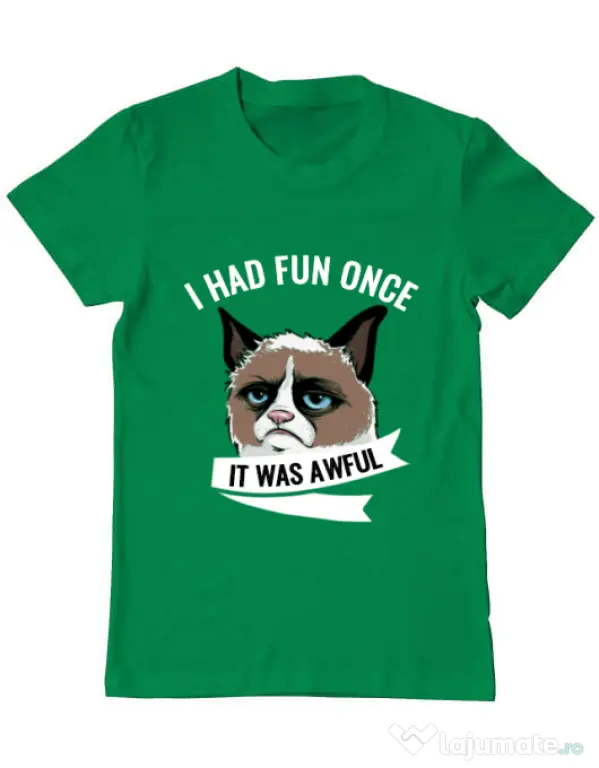 Tricou ADLER barbat I had fun once Verde mediu