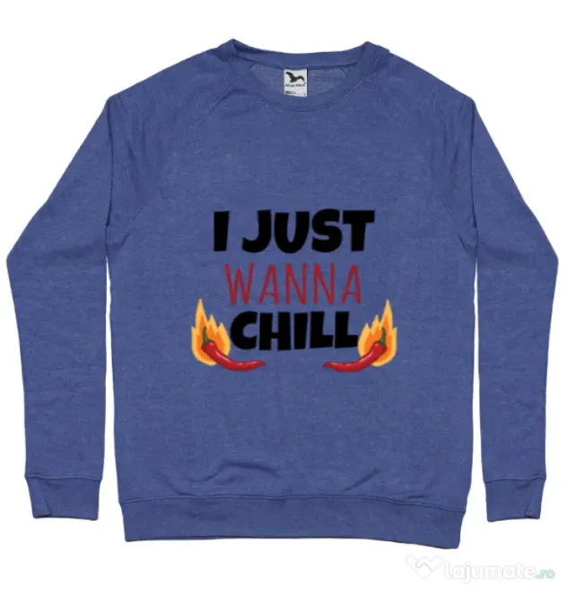Bluza ADLER barbat I just wanna chill Albastru melanj