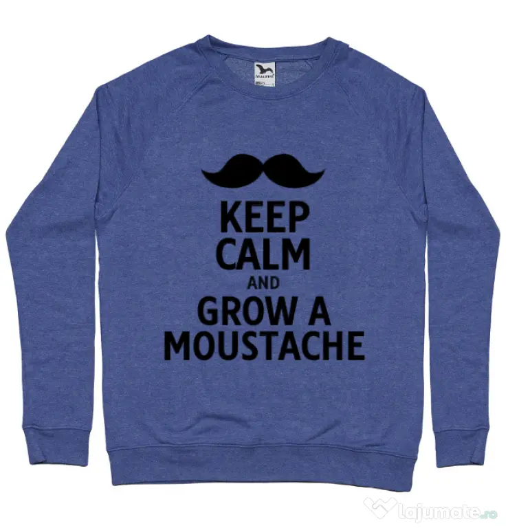 Bluza ADLER barbat Grow a moustache Albastru melanj