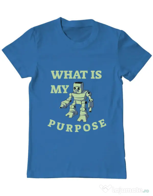 Tricou ADLER barbat What is my purpose Albastru azuriu