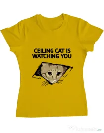Tricou ADLER dama Ceiling cat Galben