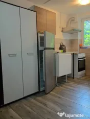 Berceni ciceu confort 3